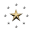 The Star Concept