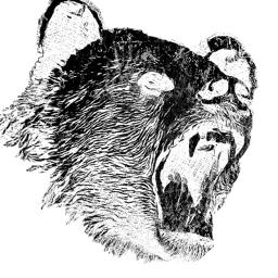 Aggressively Passive Bears logo