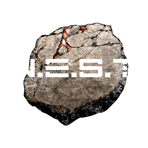 N.E.S.T Corporation