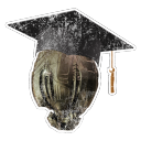 Higher Education