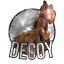 DECOY DECOY