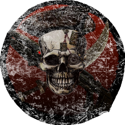 The Disciples of Space Piracy logo