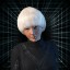 Cosmos Elf Cosmos Elf