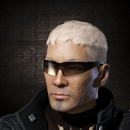 Fugeseher portrait