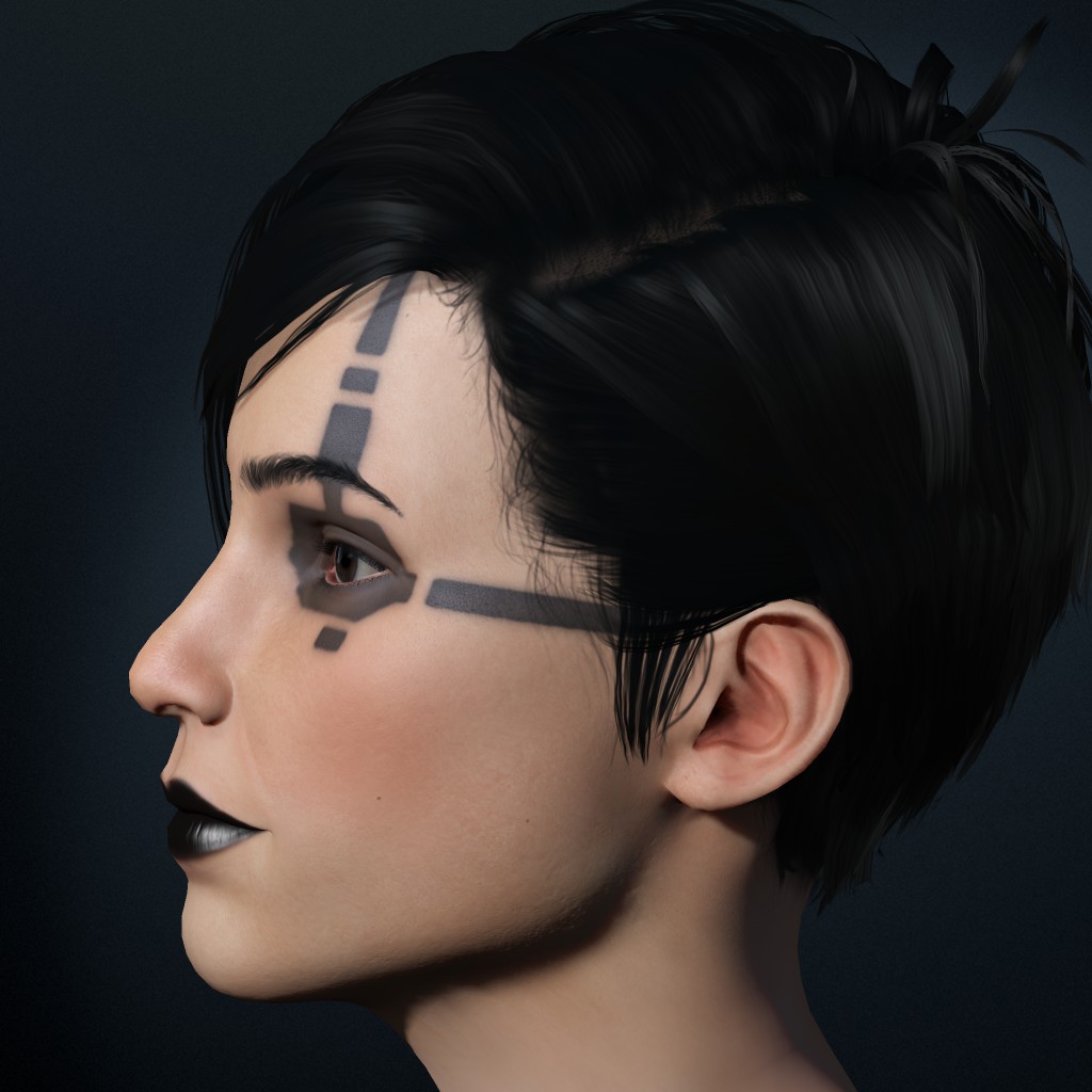 Swallow Huntres