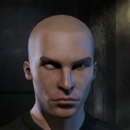 tiger vulpex portrait