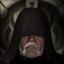 odin amarr odin amarr