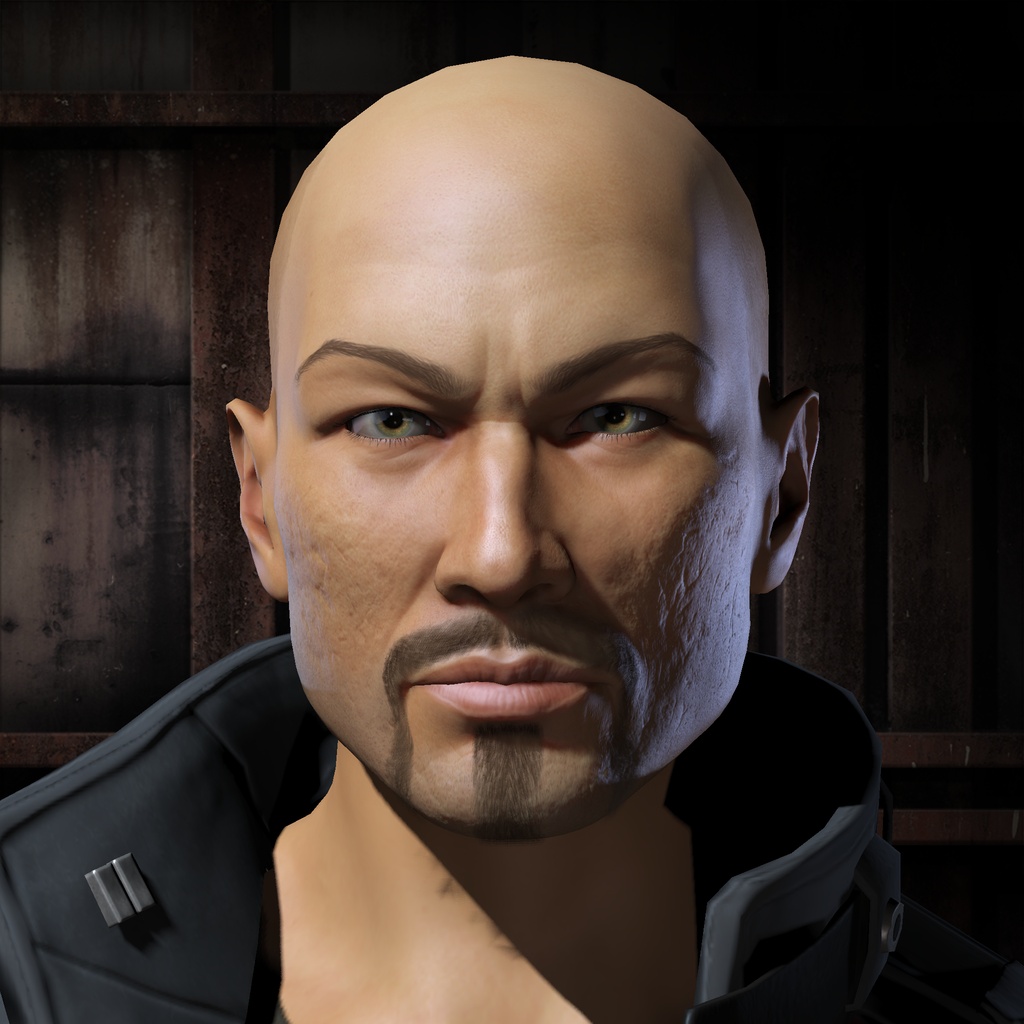 Leoice Falconsflight