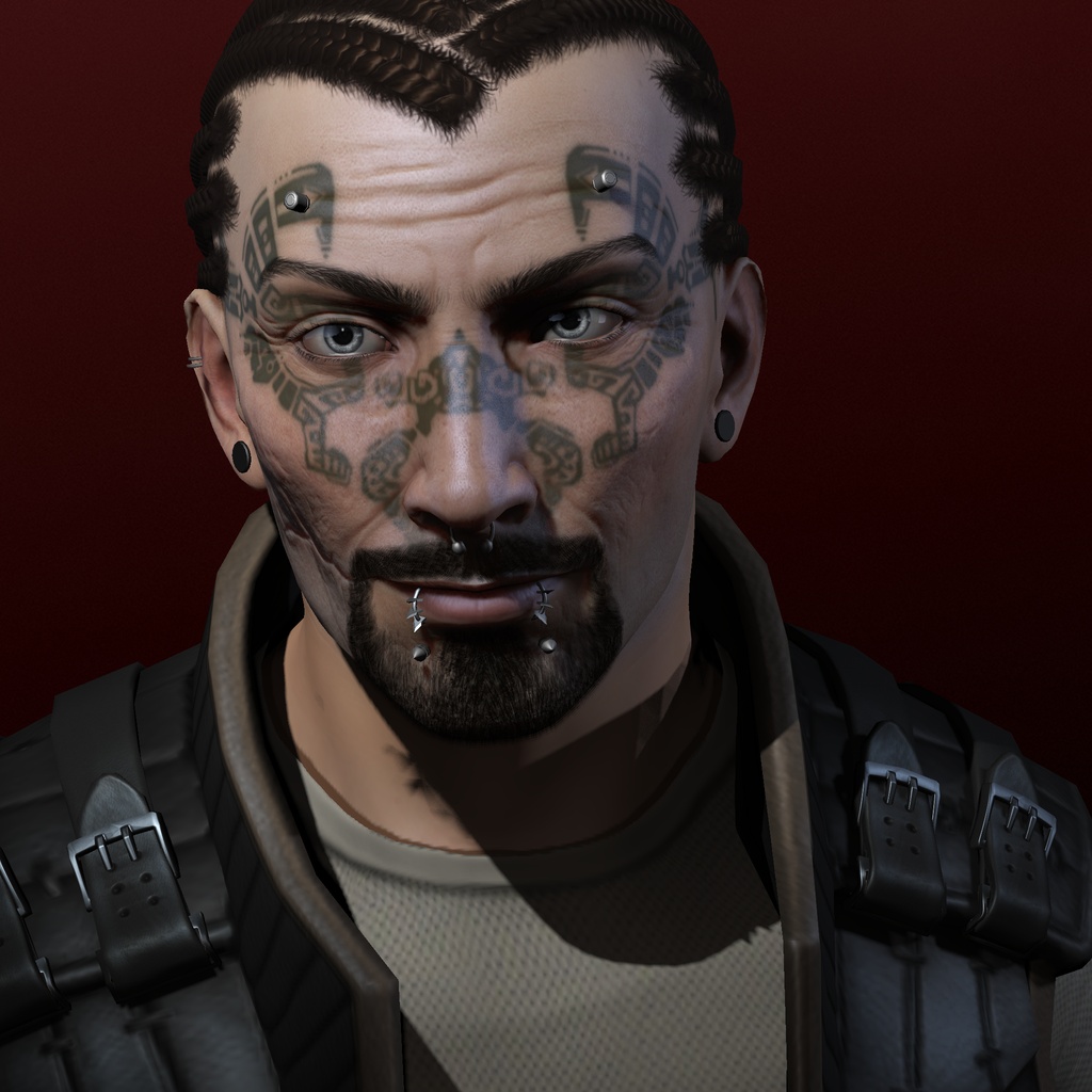 zoltan snarf