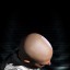 Clean Head Clean Head