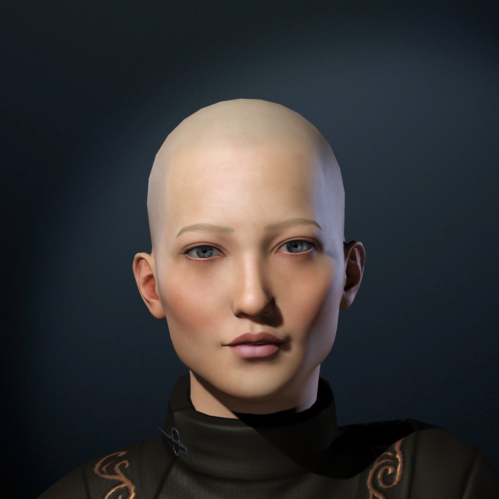 shield slave