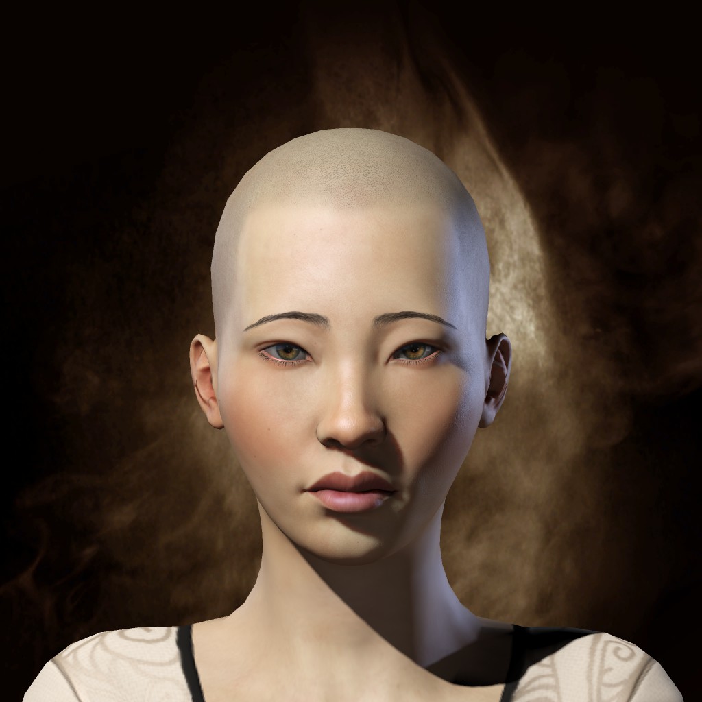 Torisei Akira