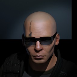 war lynx portrait