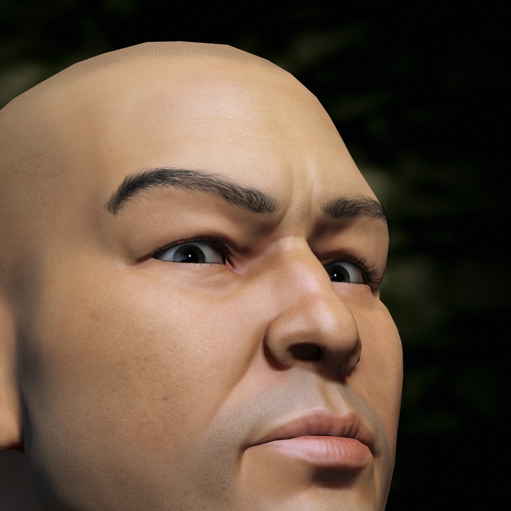 Avadan Kavadar portrait