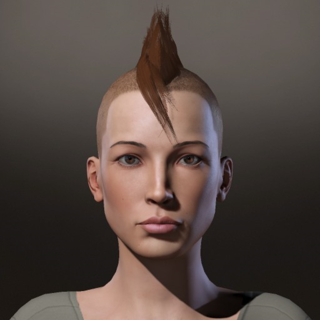 Tarikatka 006