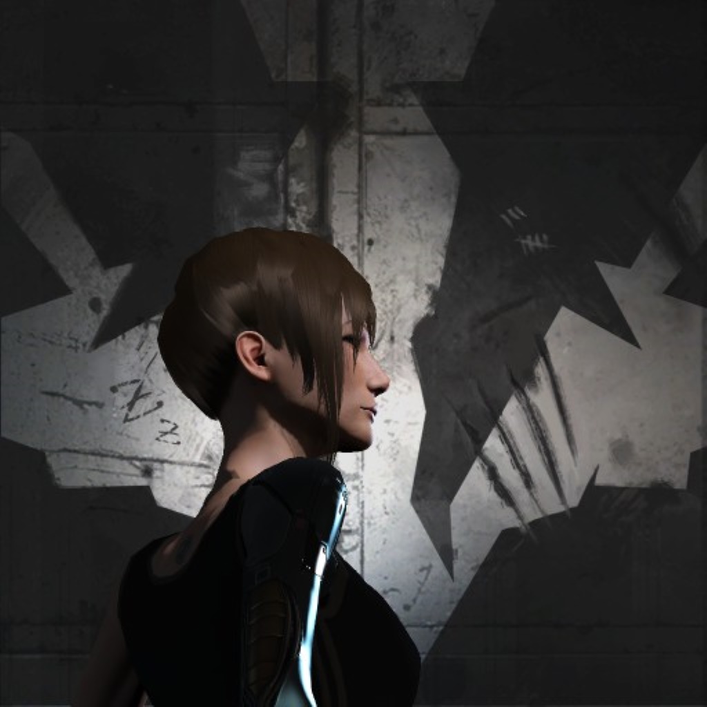 Ymir Fate