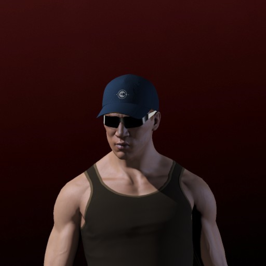 Sly Hammer