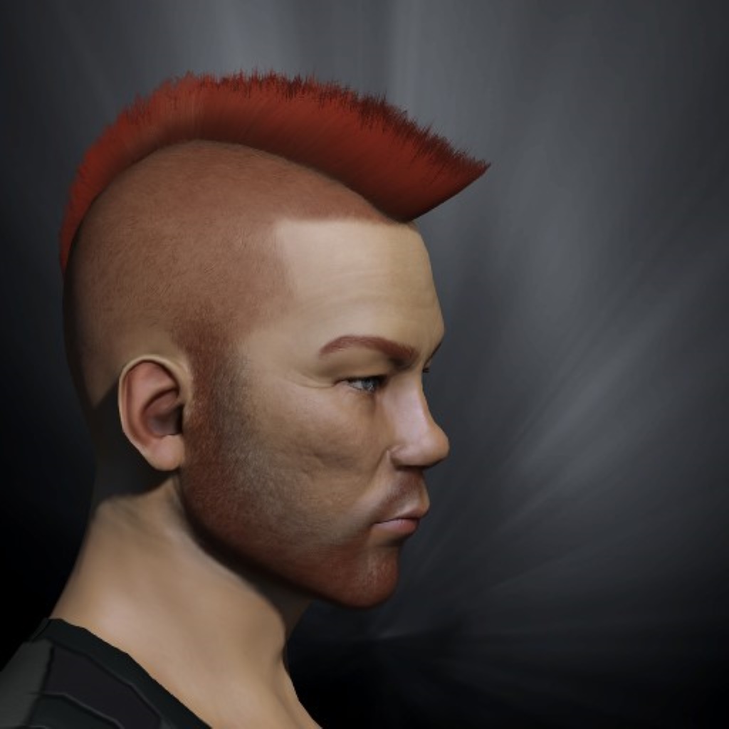 Edern Wizen