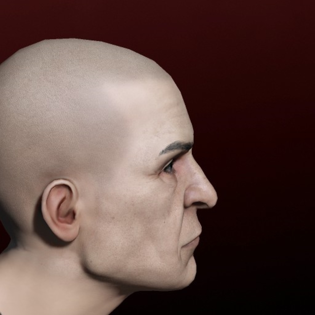 Expendable Hole Puncher