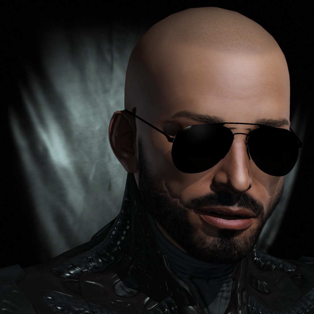 Enforcer Paaltomo