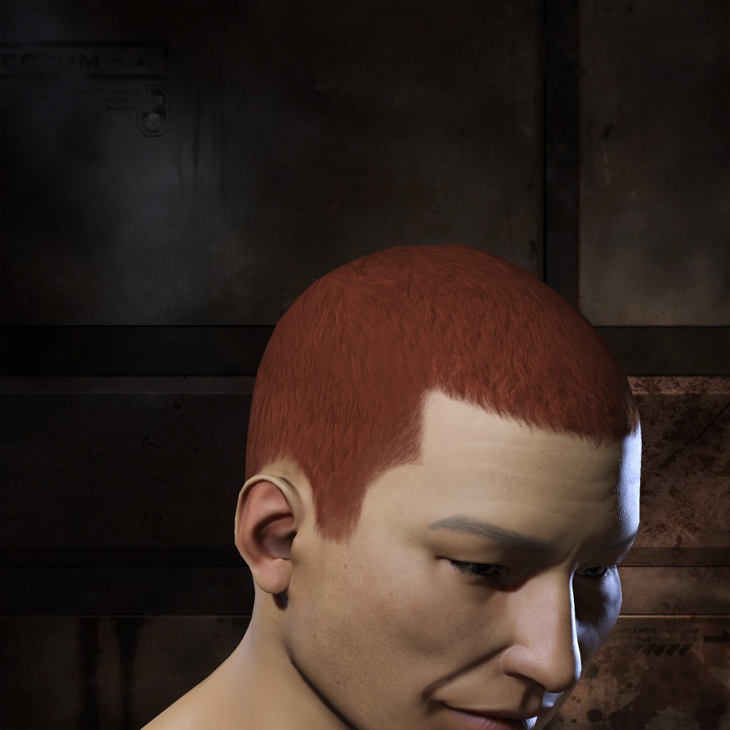 Sniferi Krividus