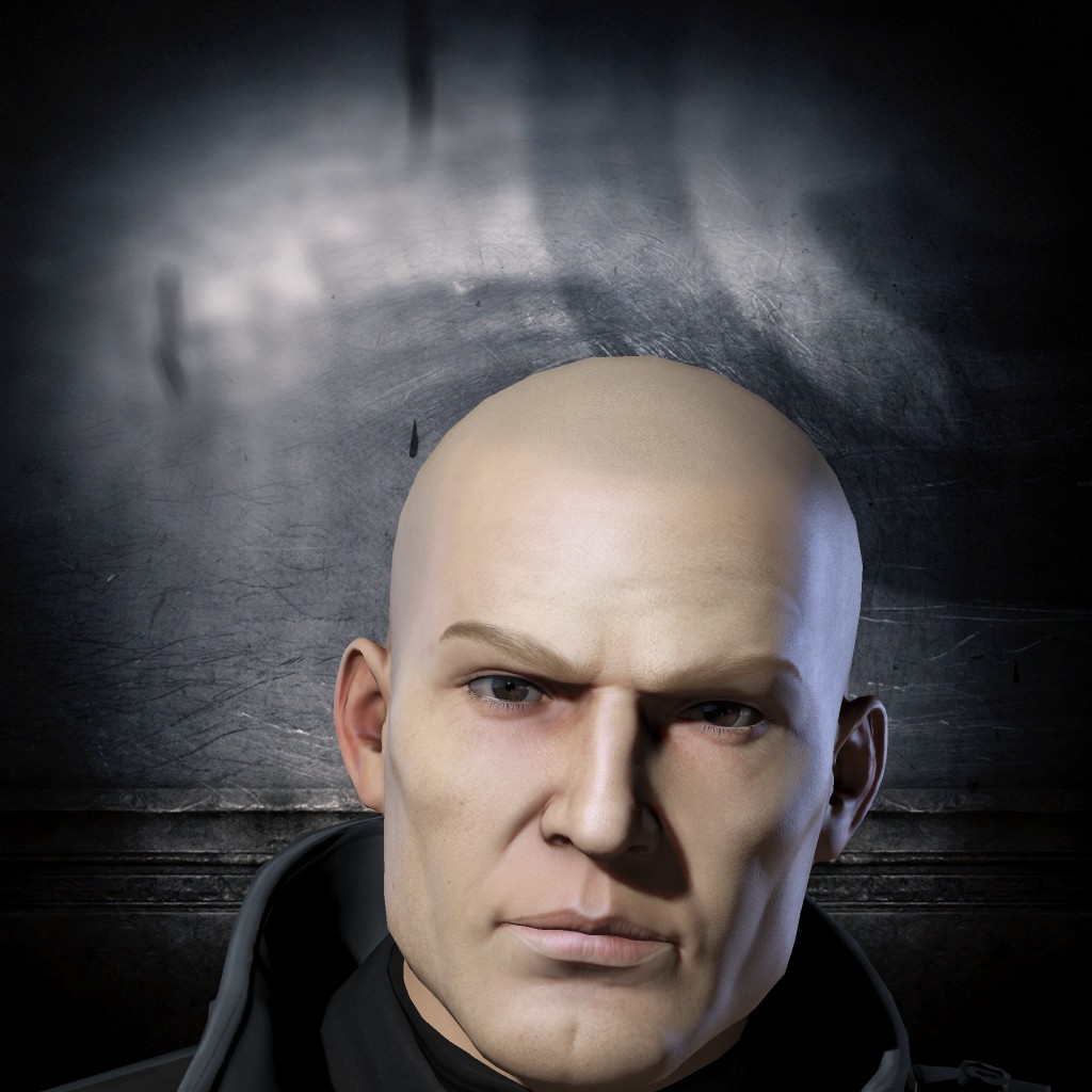 Sturmwiesel Sturmwiesel