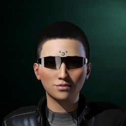 Vagrant War portrait
