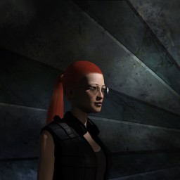 The Diznoc portrait
