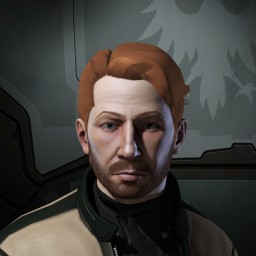 VS paladin portrait