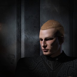 freeseals portrait