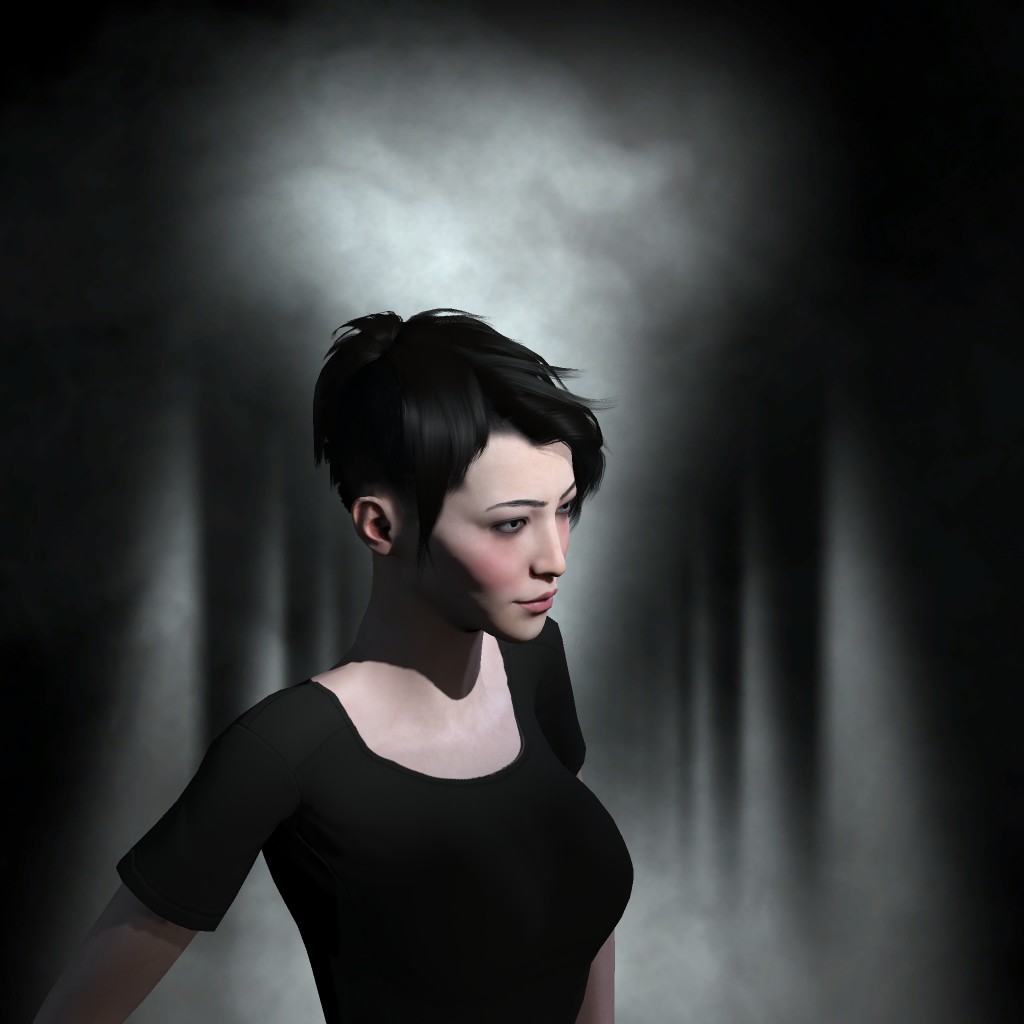 Wormhole observer