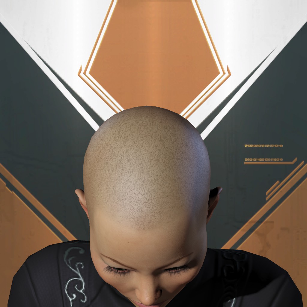 004 Rotineque
