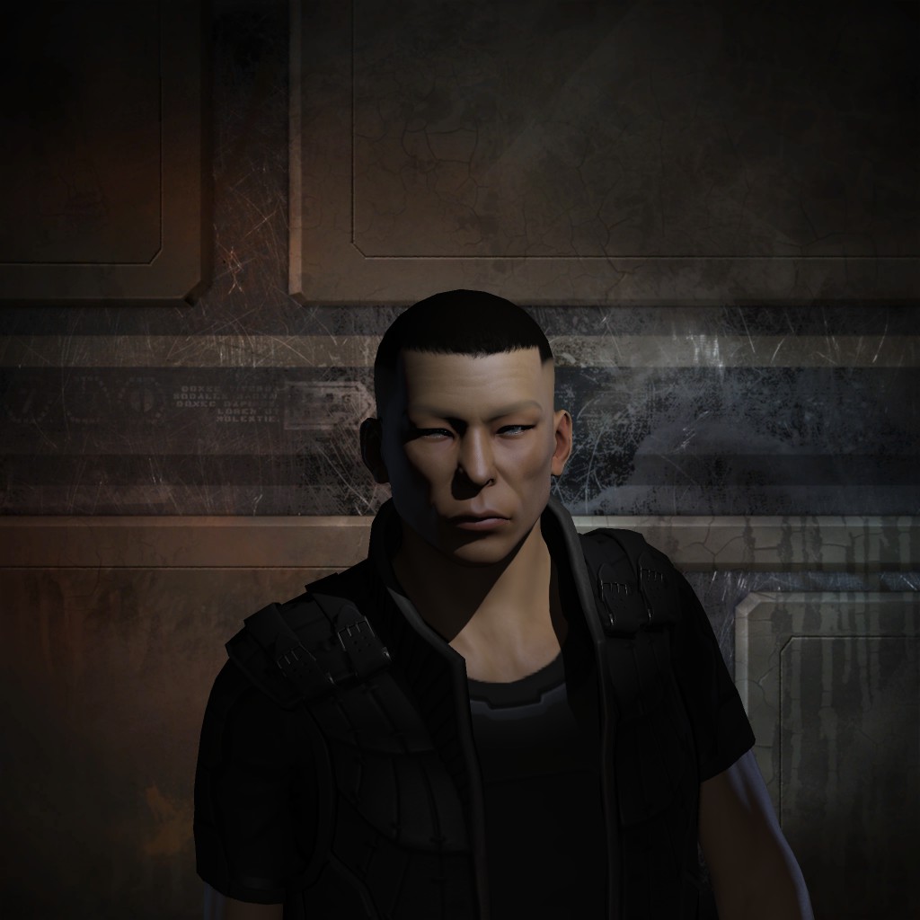 Sten limb