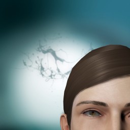 Ferox Mcrailguns portrait