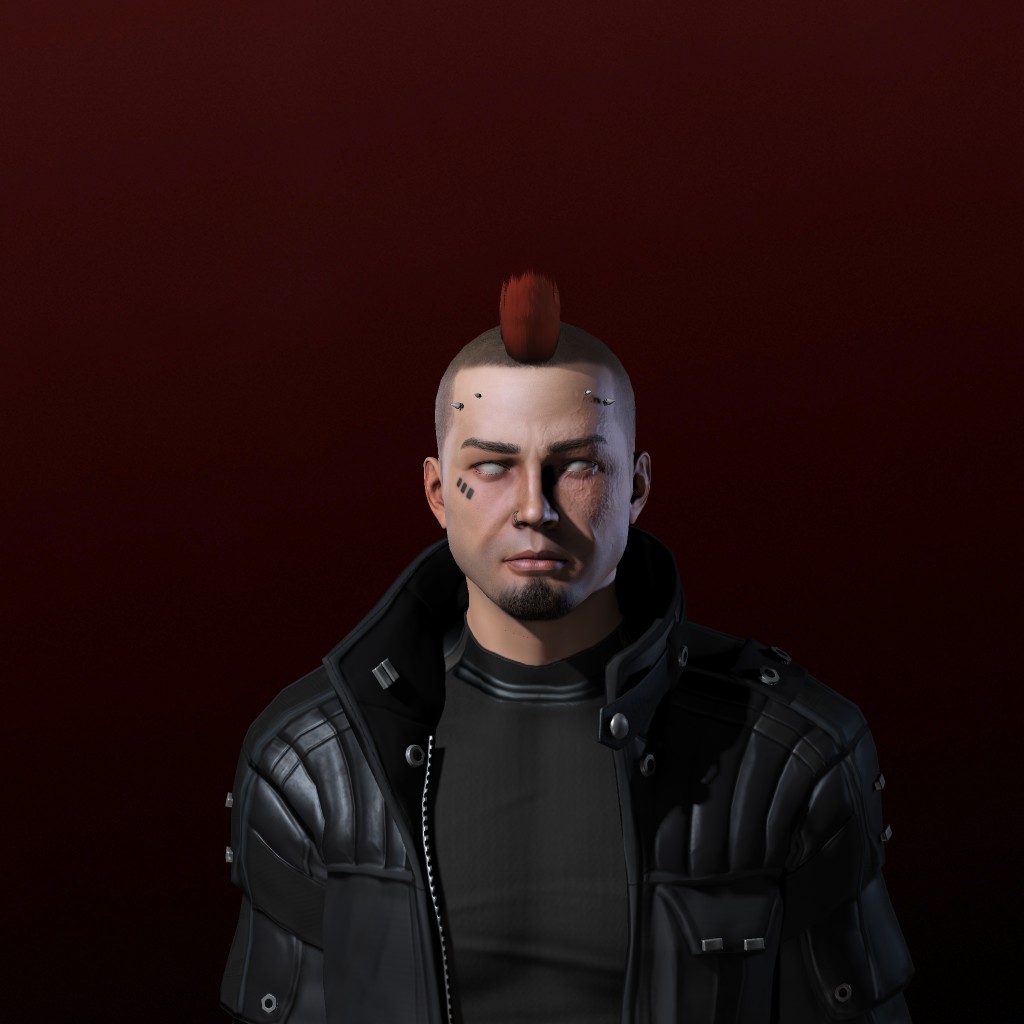 Sven Punk