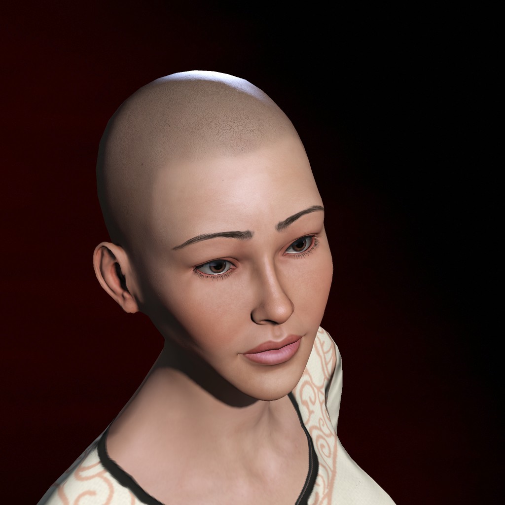 swallow huang