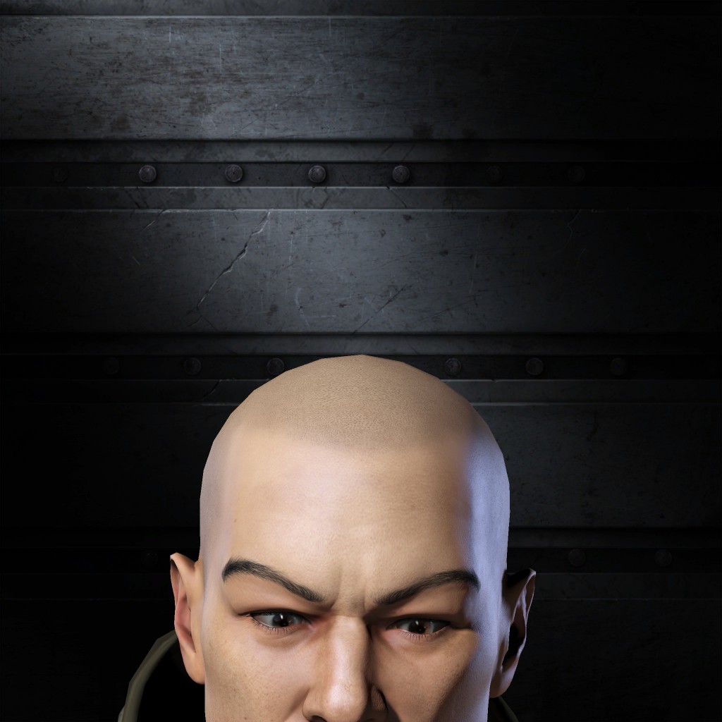 Black Panther Felis-Catus