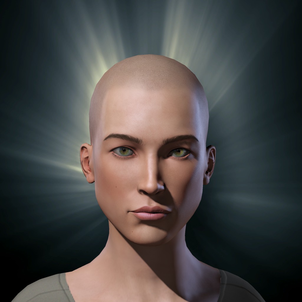 Api Statik