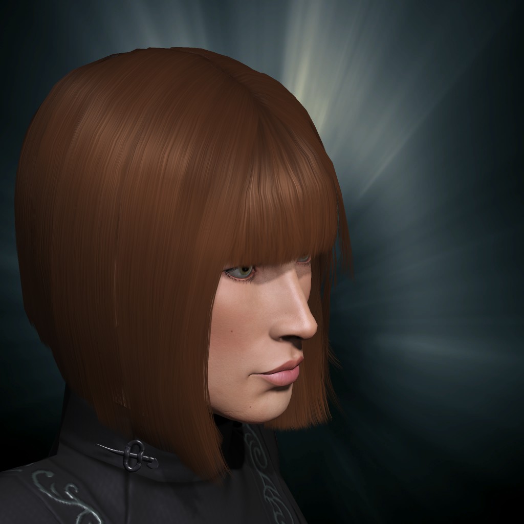 saber lv1 portrait