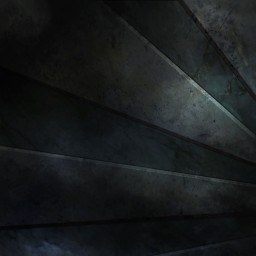 vevoid portrait