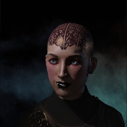 Senzatii Fax portrait