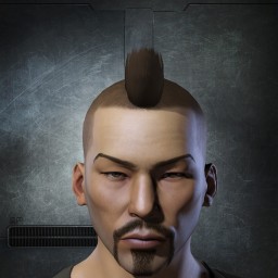 Maverik Goose portrait