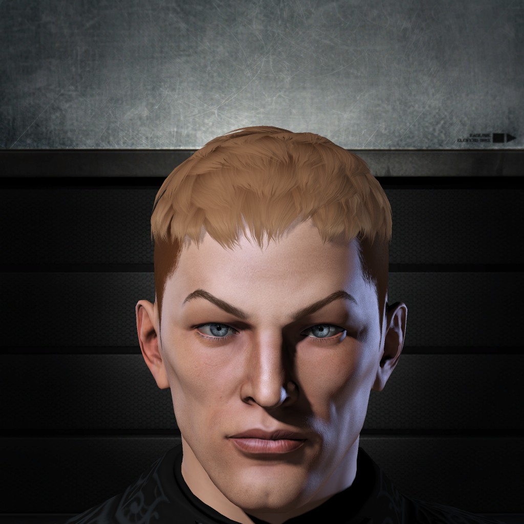 Hisailvorri Ts