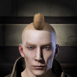 Zed Schnitzel portrait