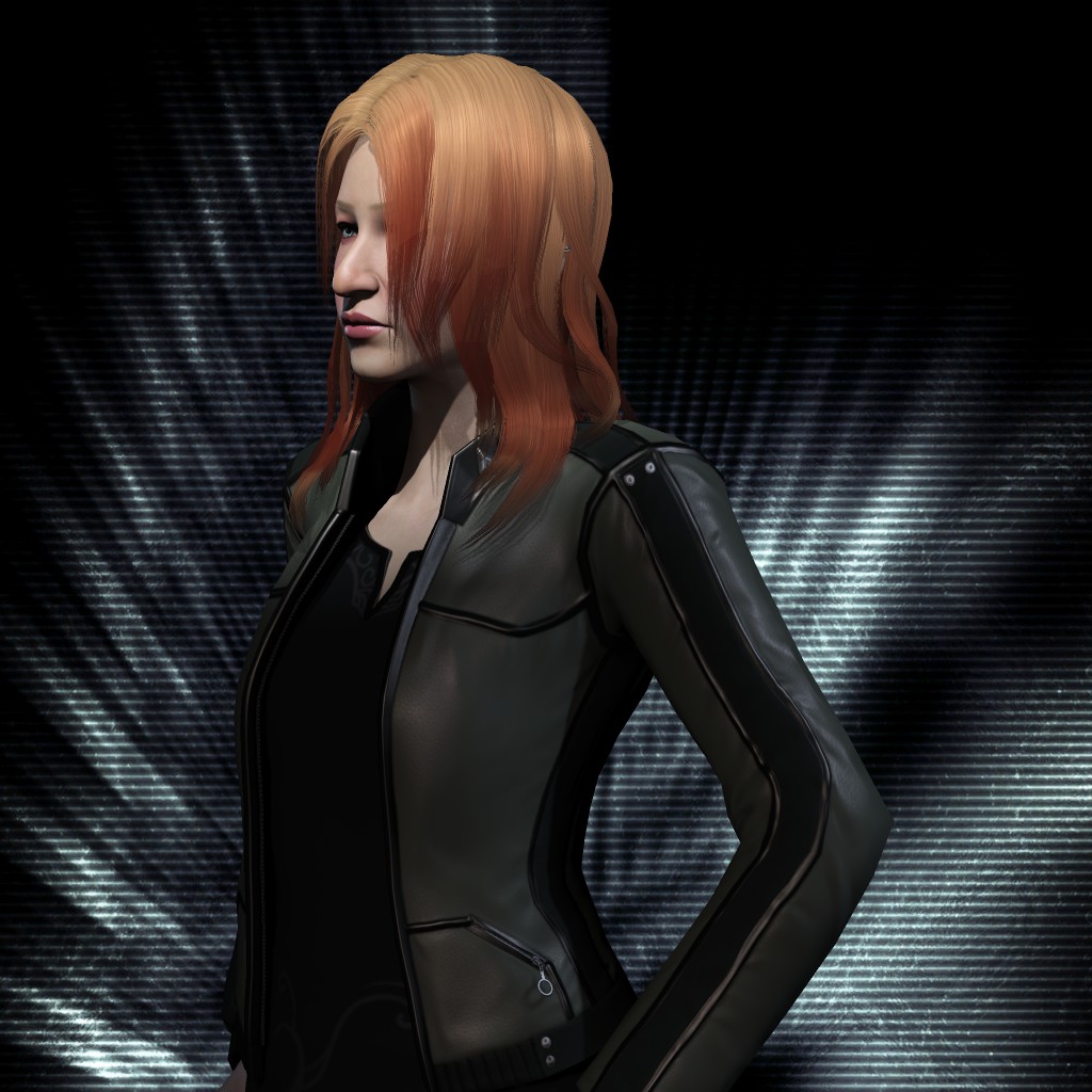 vision zidian004