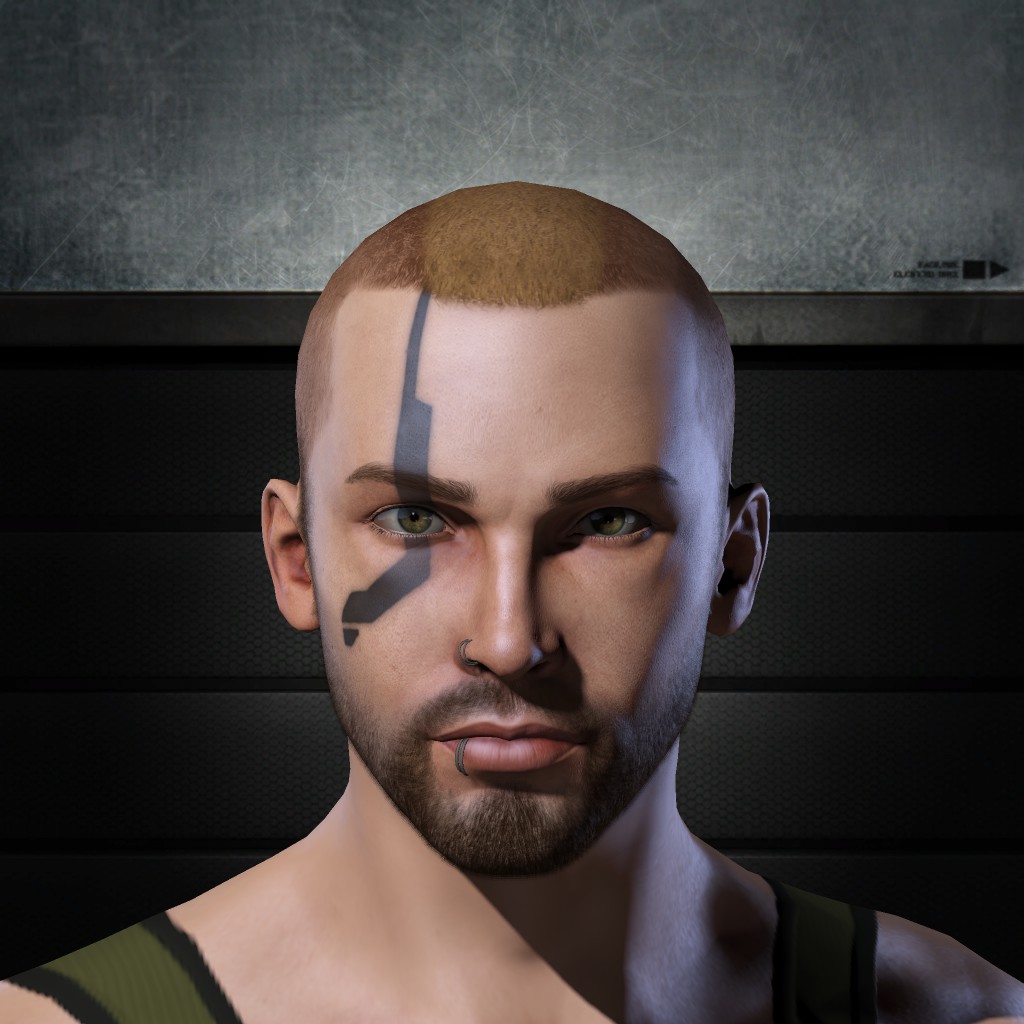 Nidhoggr Soul