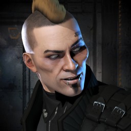 Irate Hawk portrait