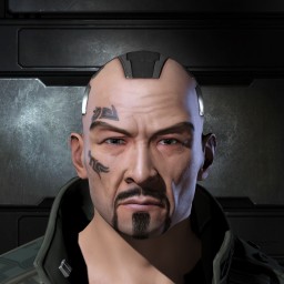 Dianwei portrait