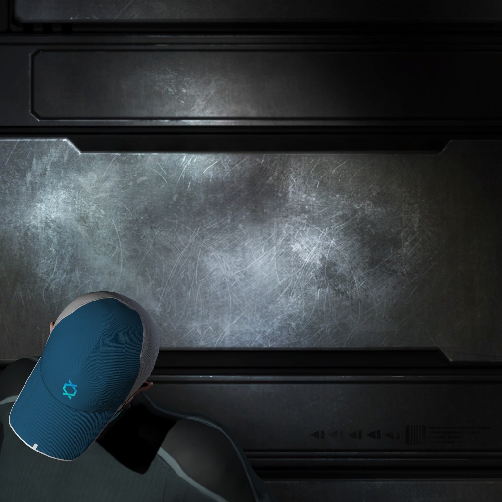 capsuleer3481