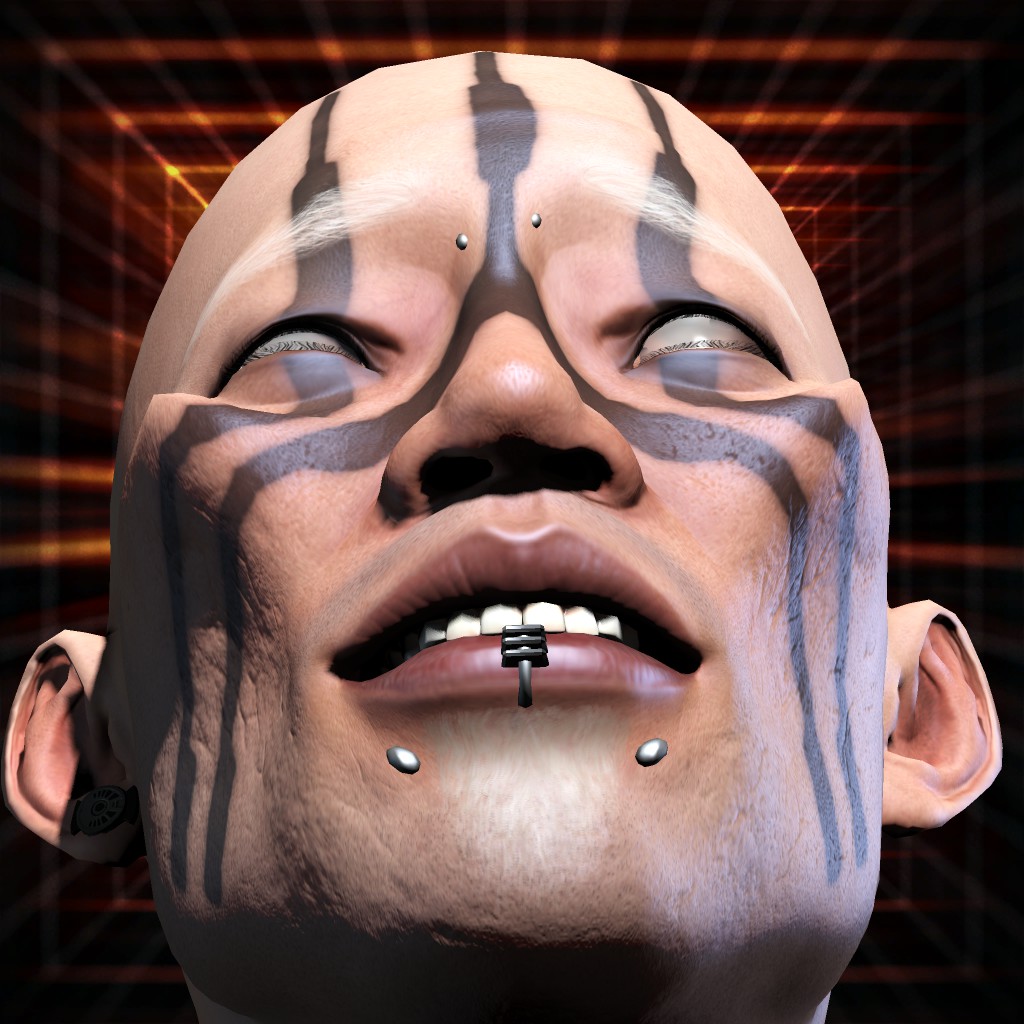 2D5T